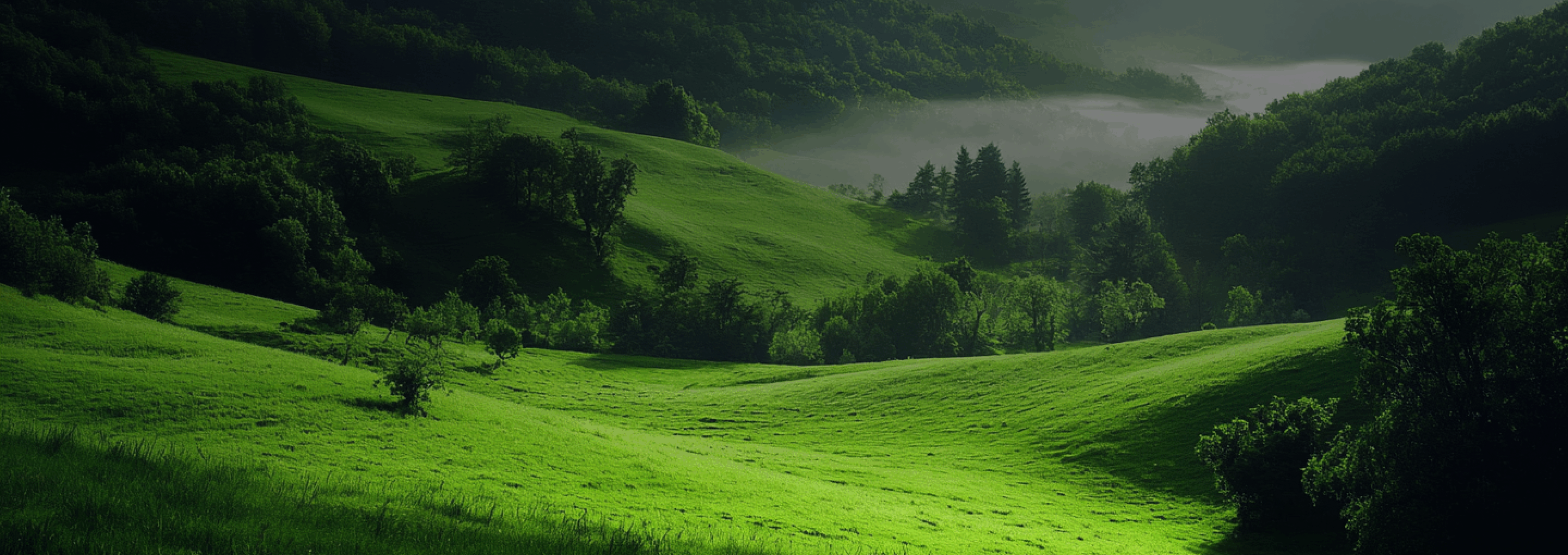 esg_banner_img